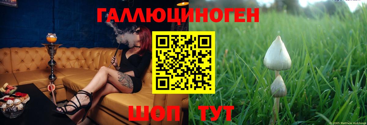 Галлюциногенные грибы прущие грибы  Псилоцибиновые грибы GOLDEN TEACHER  Новозыбков  Вход с VPN 